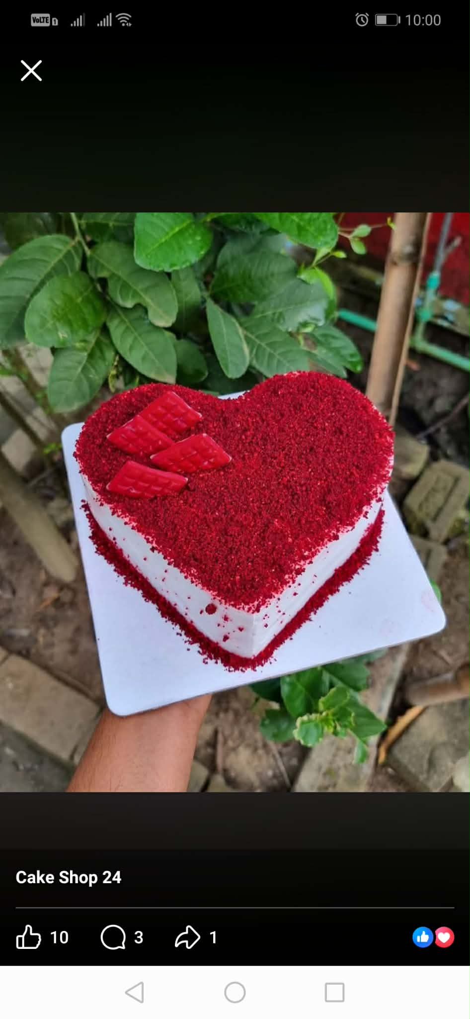 Home Made Vanila Cake 1 Pound