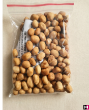 Hard Nut ( Badam )